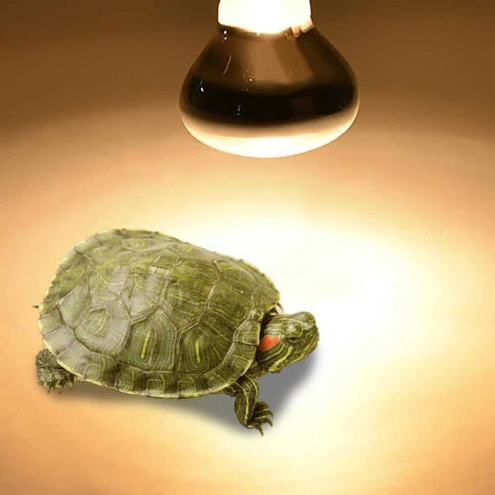 Basking Bulb Halogen - Лампа-обогреватель для рептилий: галогенная лампа для