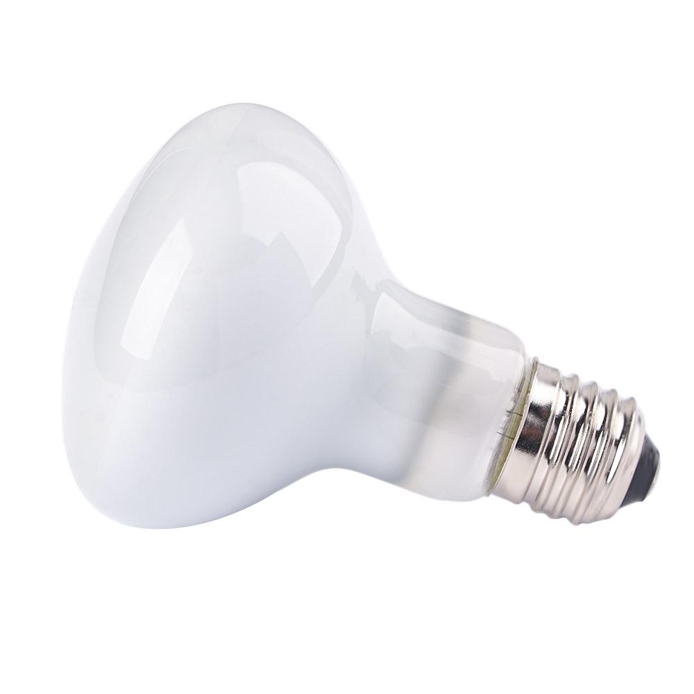Basking Bulb Halogen - Терморегулятор для амфибий, галогенная лампа, УФ-лампа,