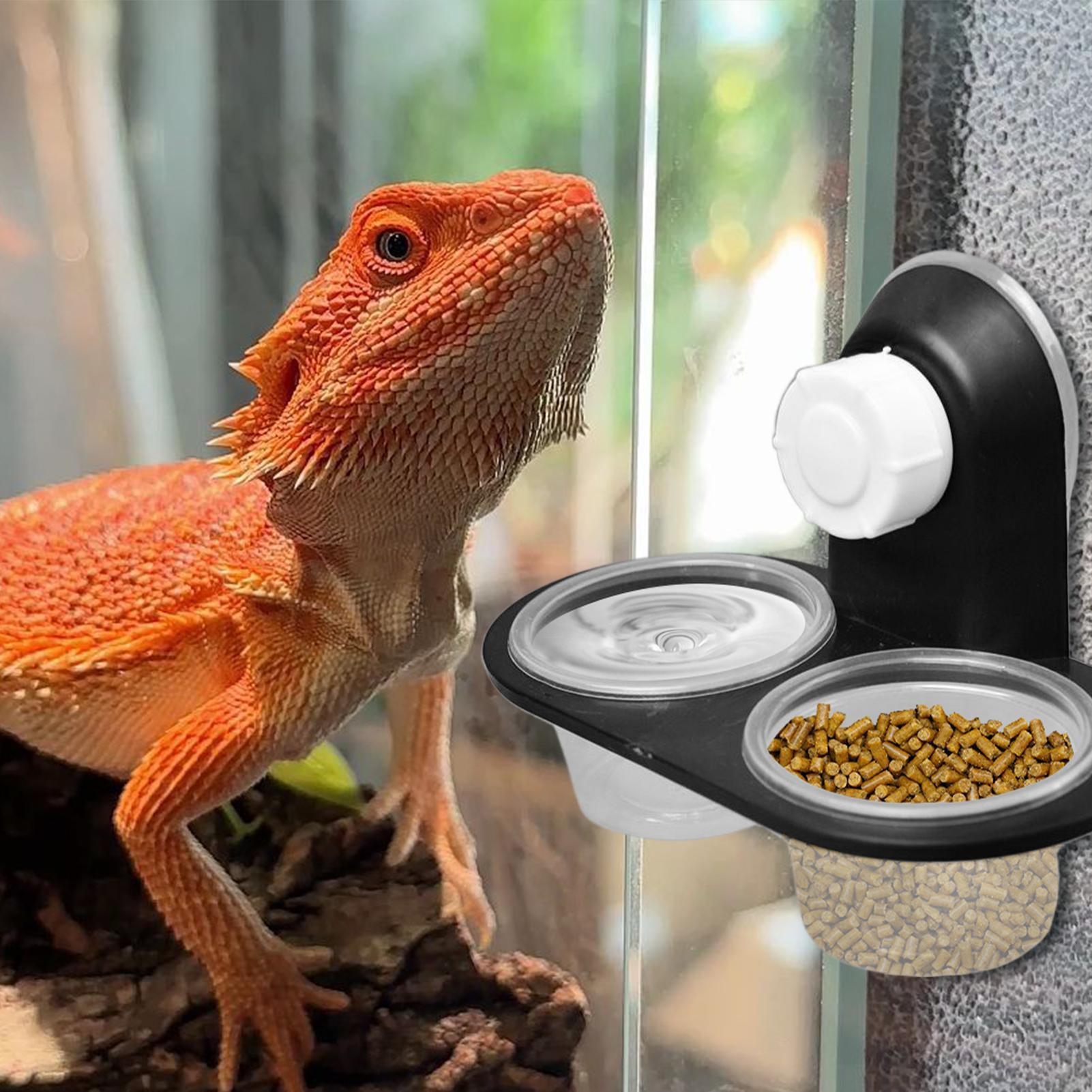 Water Dish Reptile - Миска для корма и воды для