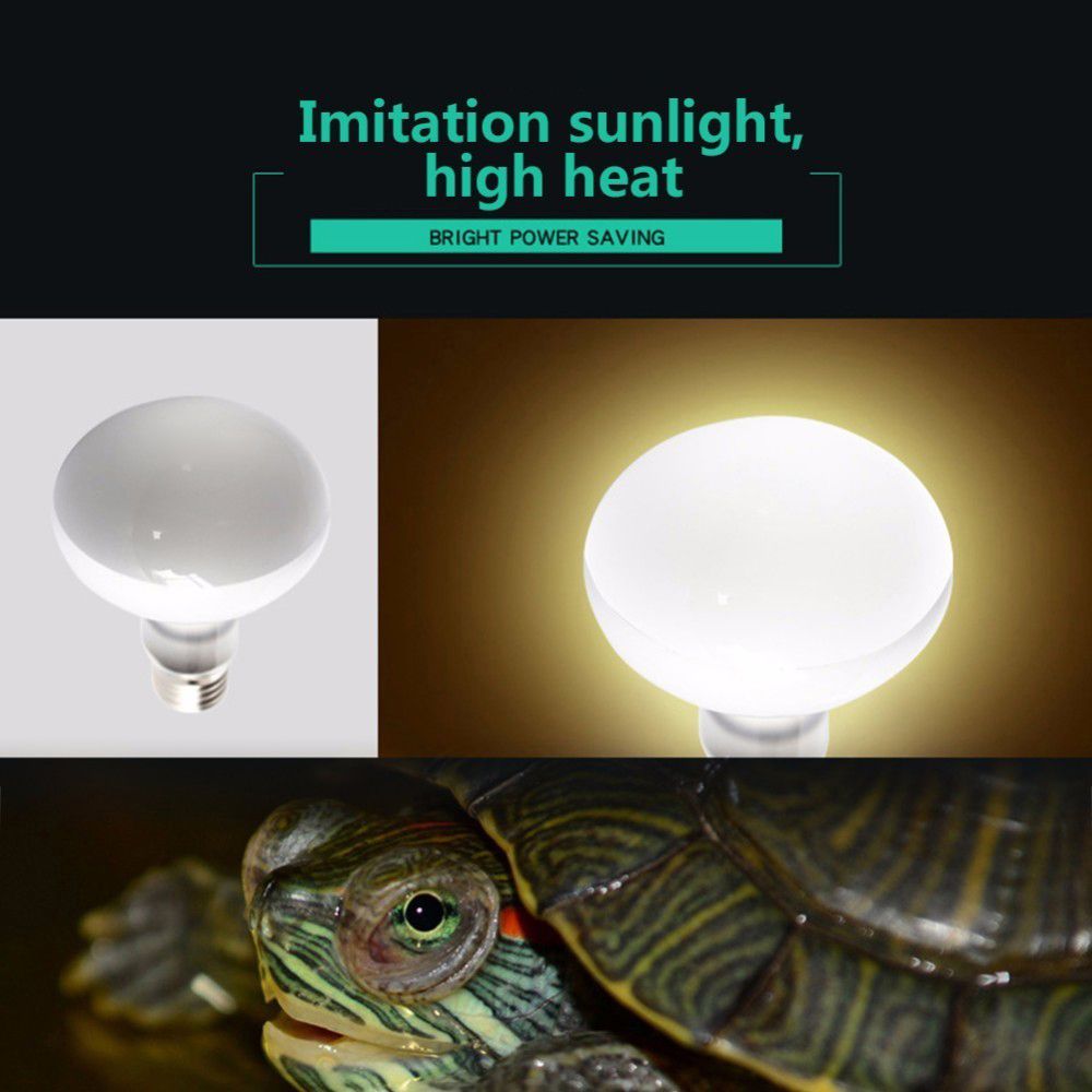 Basking Bulb Halogen - Контроллер температуры для террариумов, УФ-лампа для