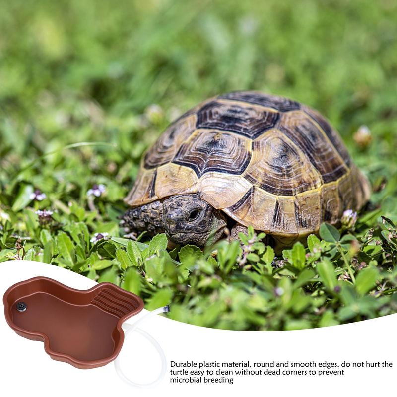 Блюдо для кормления черепахи,  – обзор и цена Water Dish Reptile