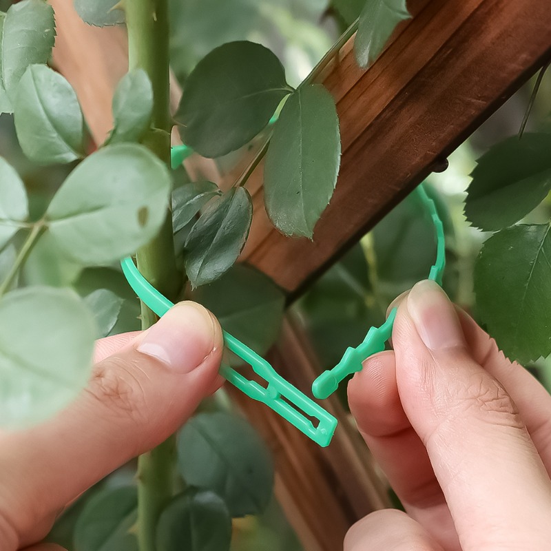 Оптовые многоразовые регулируе – обзор и цена Vine Climbing Plastic