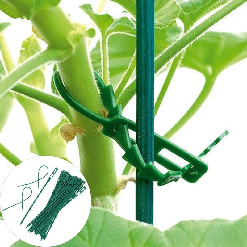 Оптовые многоразовые регулируе – обзор и цена Vine Climbing Plastic