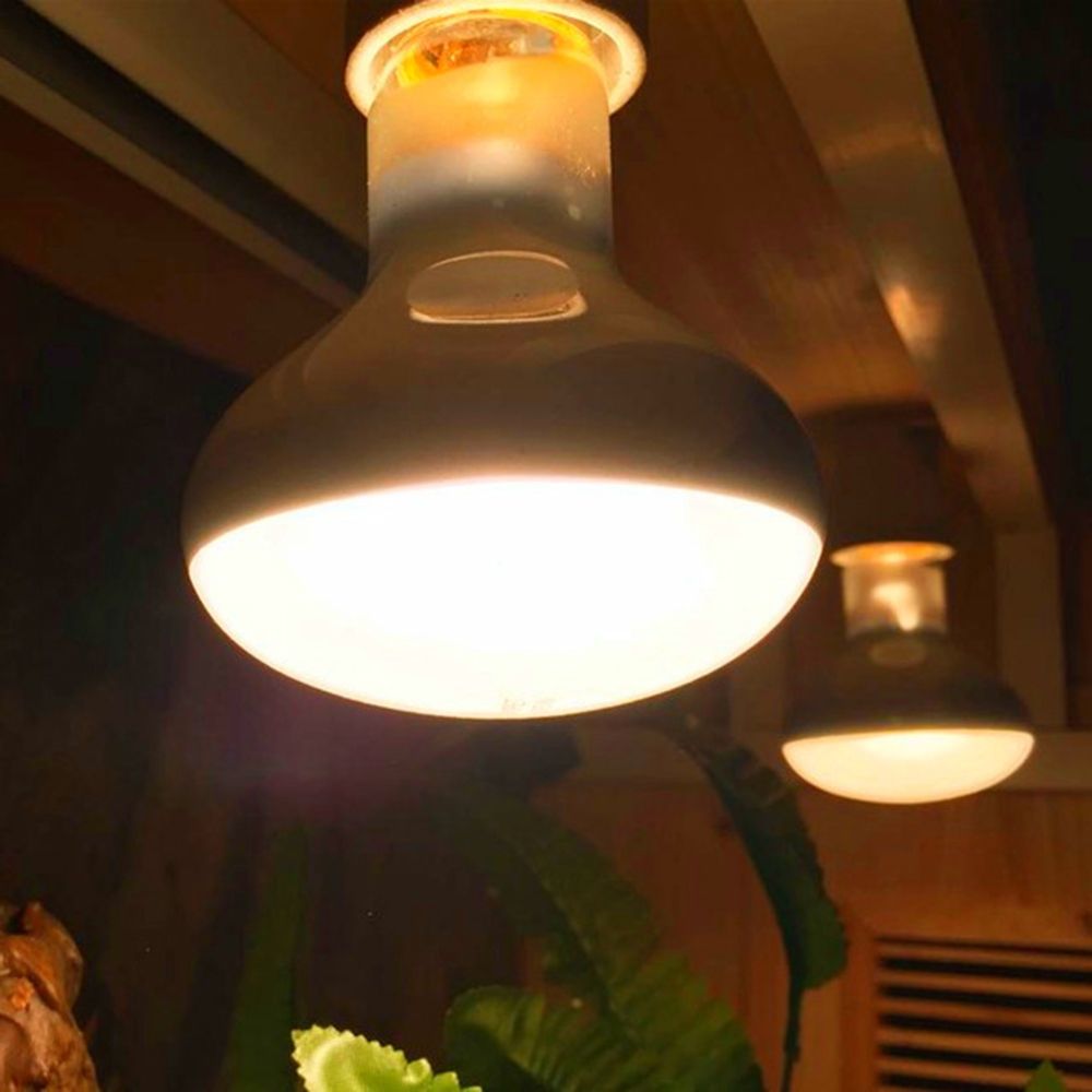 Терморегулятор для амфибий, га – обзор и цена Basking Bulb Halogen