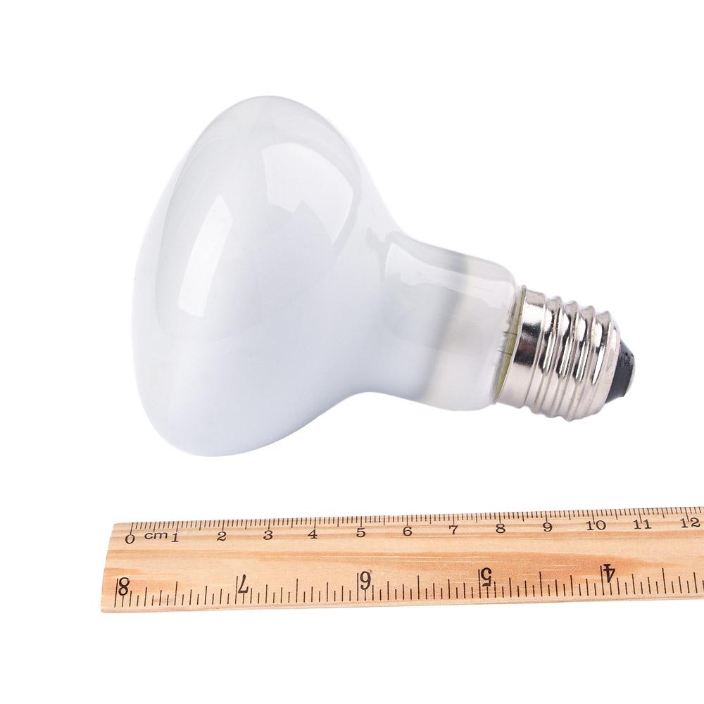 Контроллер температуры для тер – обзор и цена Basking Bulb Halogen