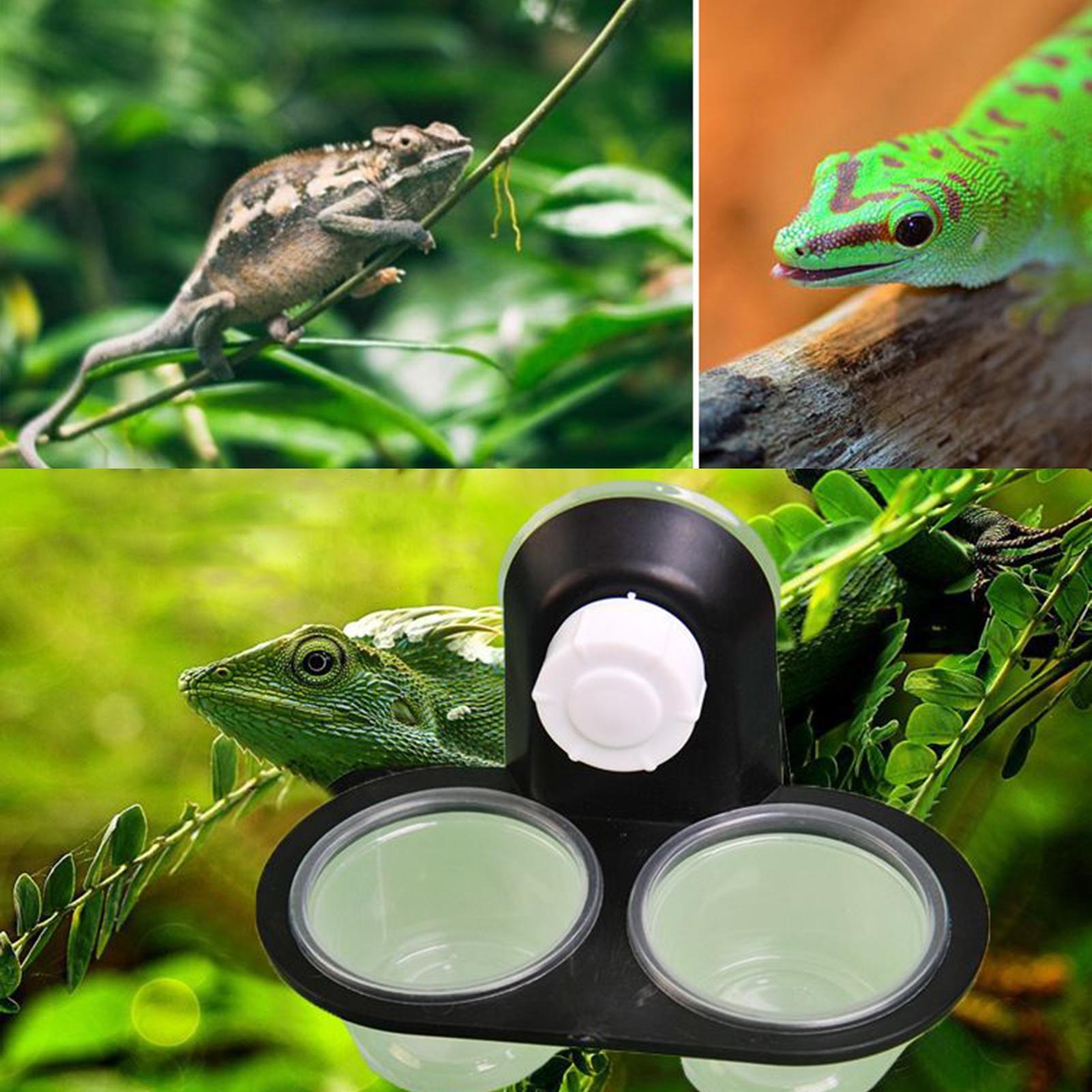 Миска для корма и воды для гек – обзор и цена Water Dish Reptile