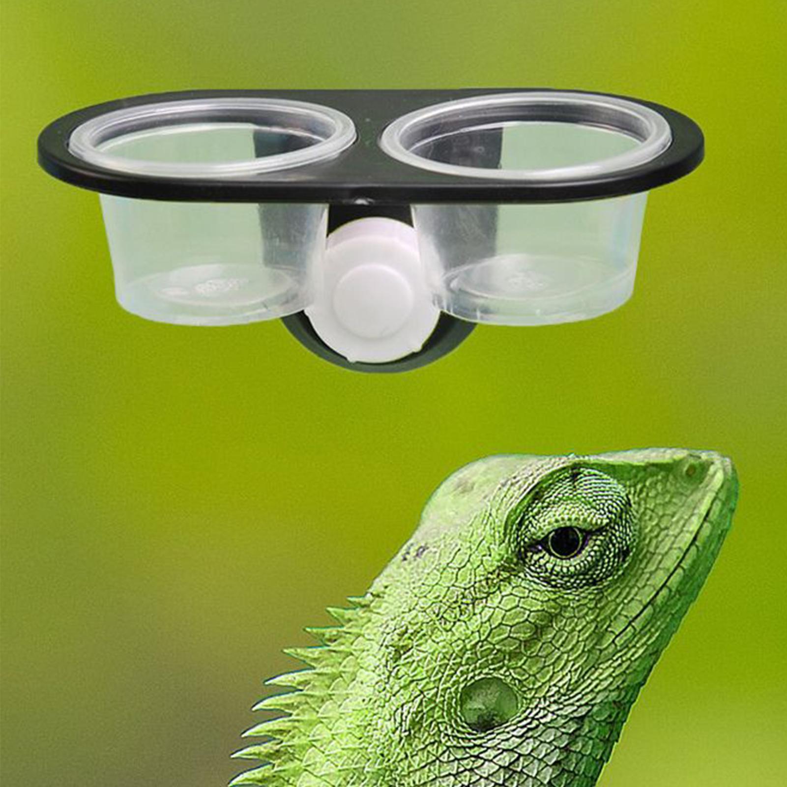 Миска для кормления гекконов,  – обзор и цена Water Dish Reptile