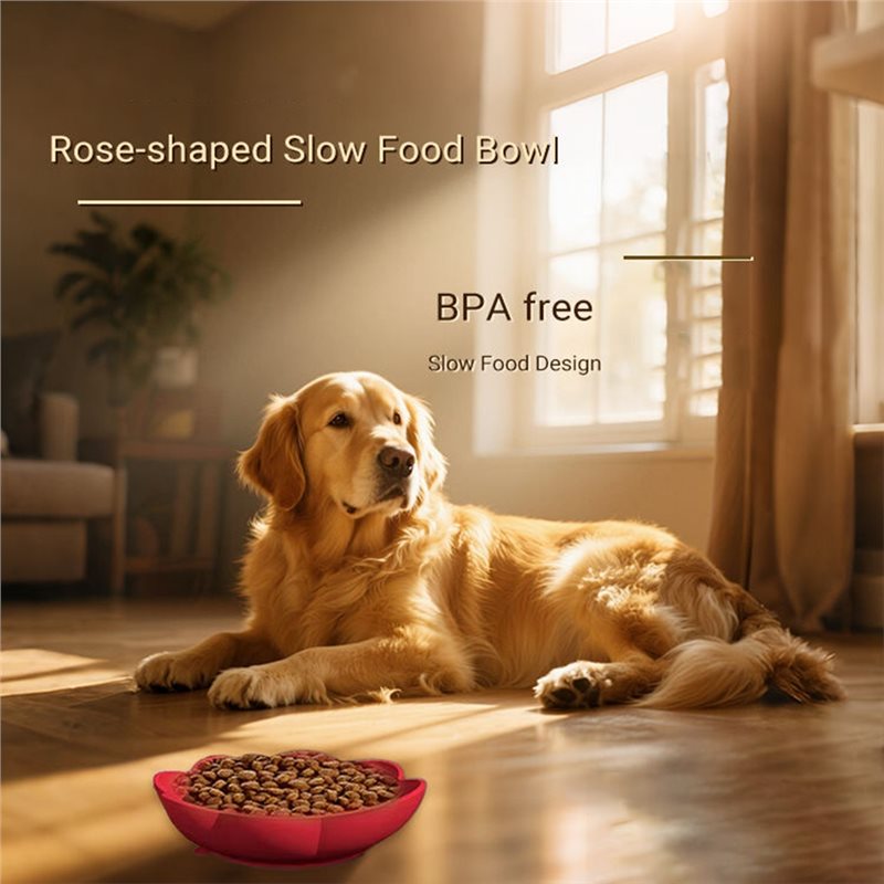 A11E-Миска для медленного корм – обзор и цена Royal Canin Food Medium