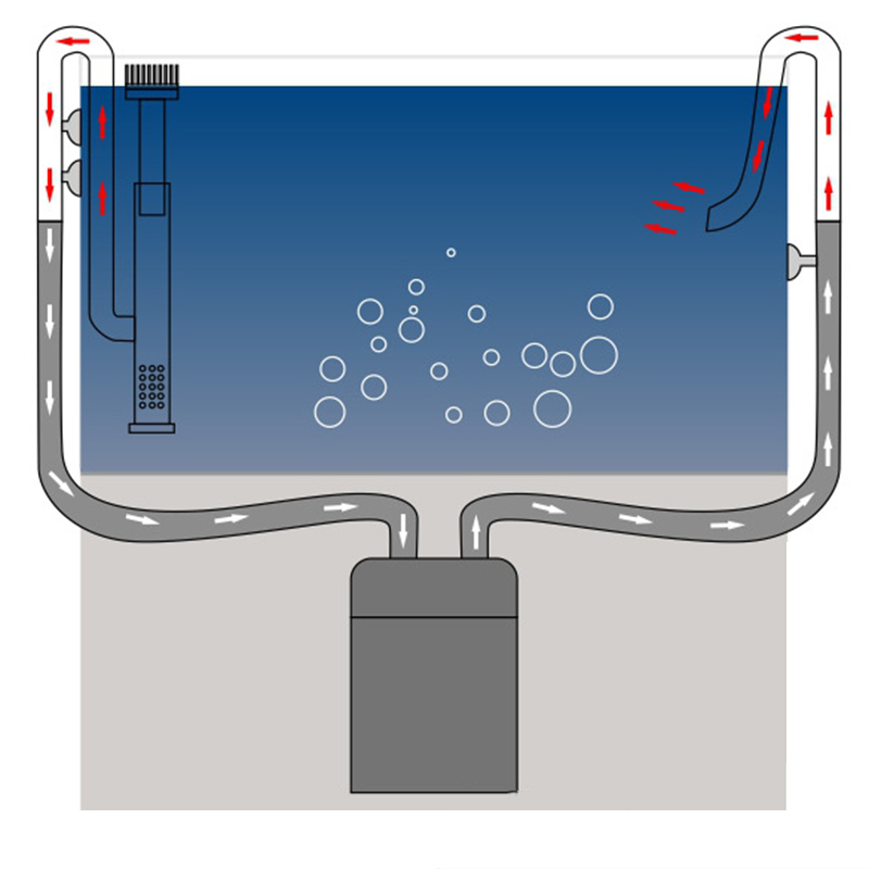 Новый аквариум Лилия труба из  – обзор и цена Aquael Filter Fzn