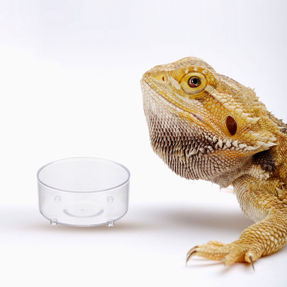 Набор из 10 акриловых мисок дл – обзор и цена Water Dish Reptile