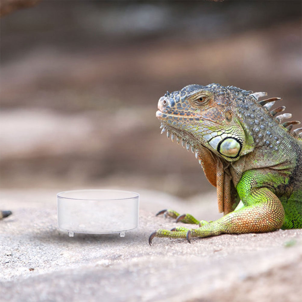 Набор из 10 акриловых мисок дл – обзор и цена Water Dish Reptile