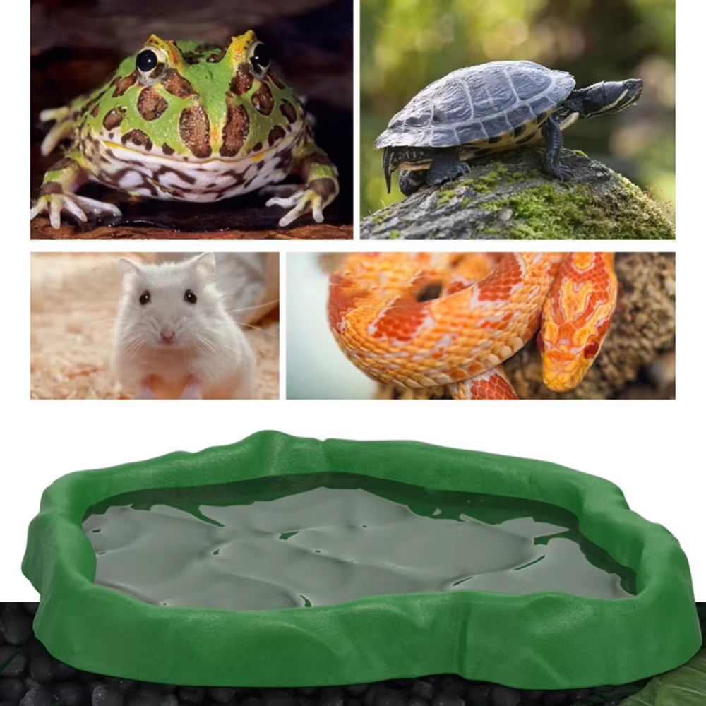 Миска-кормушка для рептилий из – обзор и цена Water Dish Reptile