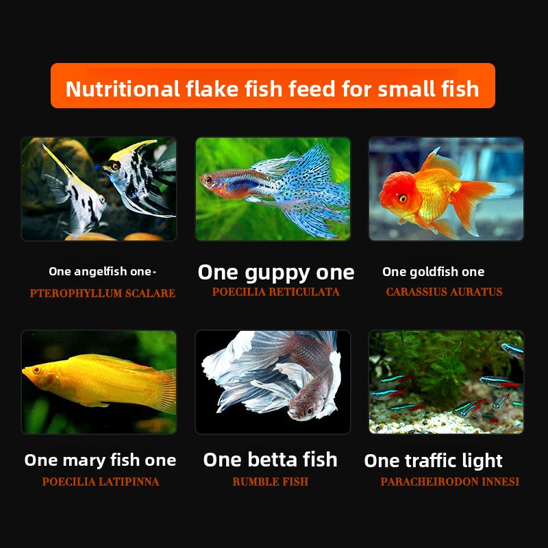 DaJiaWa Корм для рыб в виде хл – обзор и цена Tetra Food Goldfish Flakes