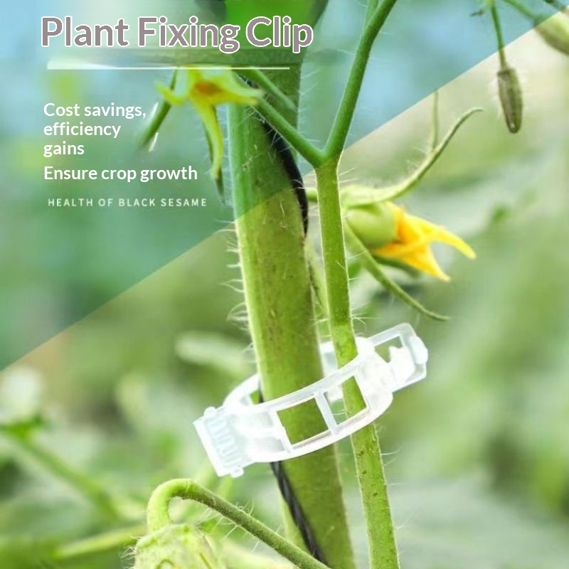 Пластиковые зажимы для поддерж – обзор и цена Vine Climbing Plastic