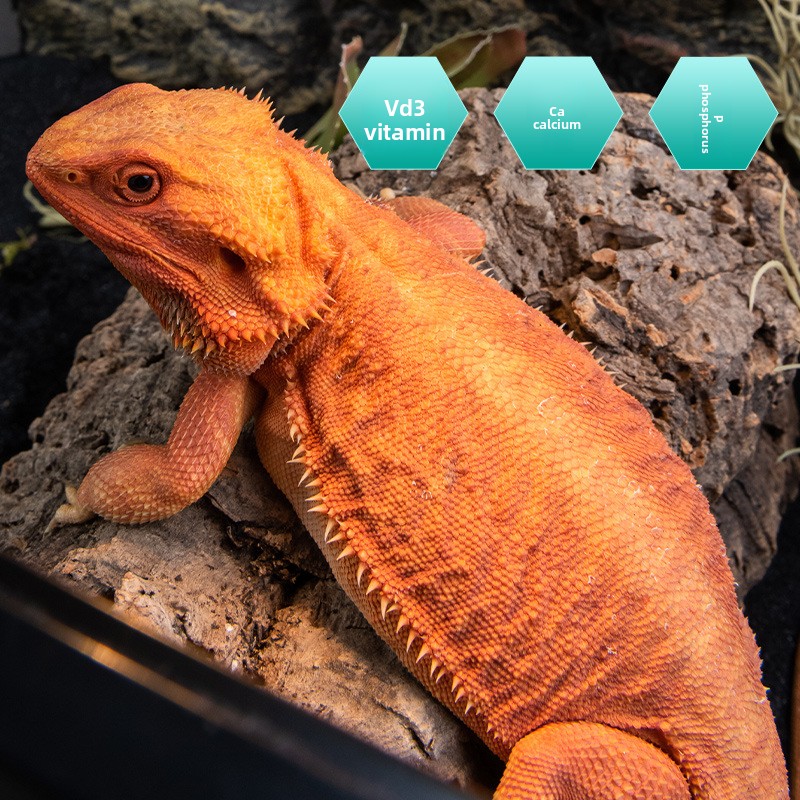 Сумесь витамина и пробиотиков  – обзор и цена Vitamin D3 Reptile