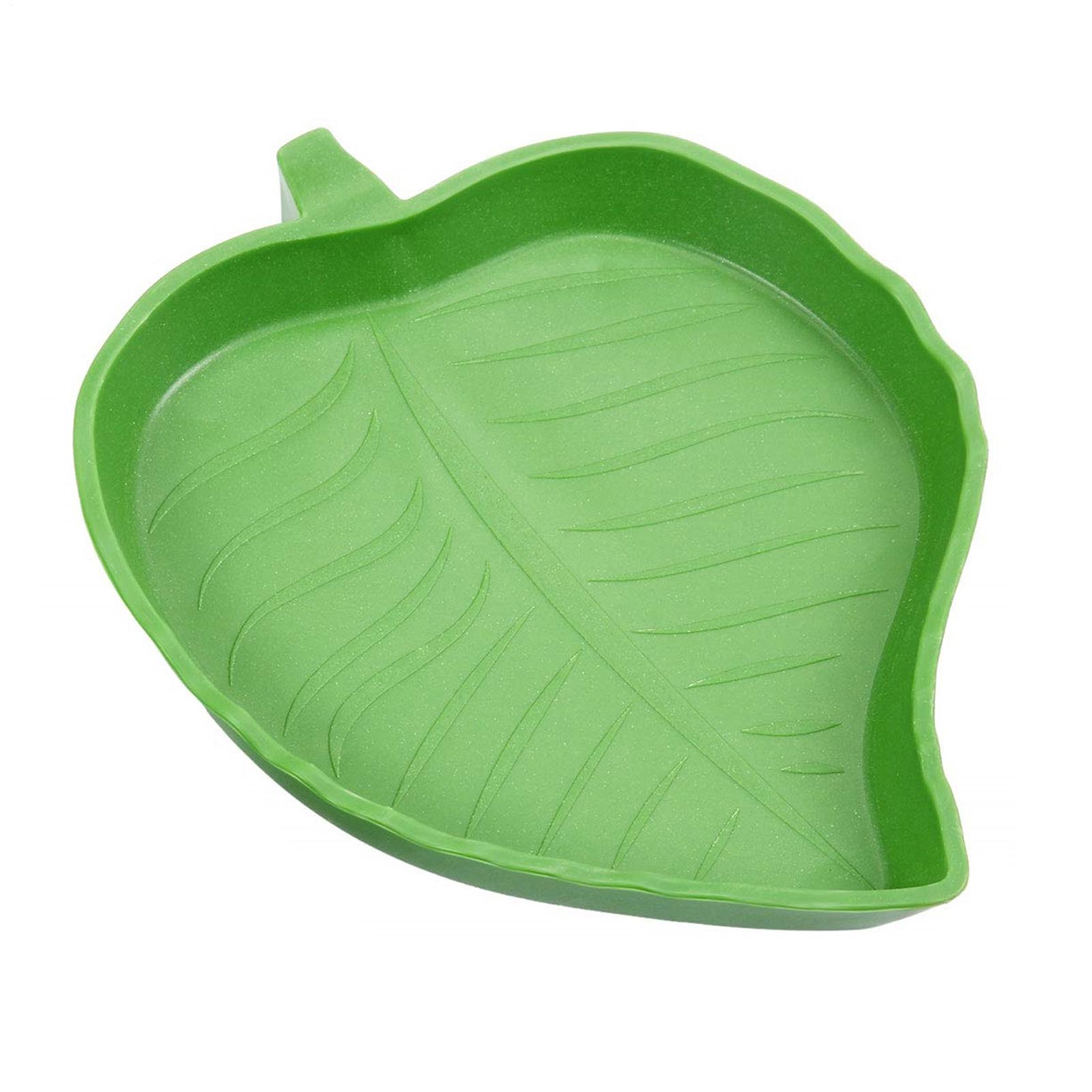 Миска для еды и воды для репти – обзор и цена Water Dish Reptile