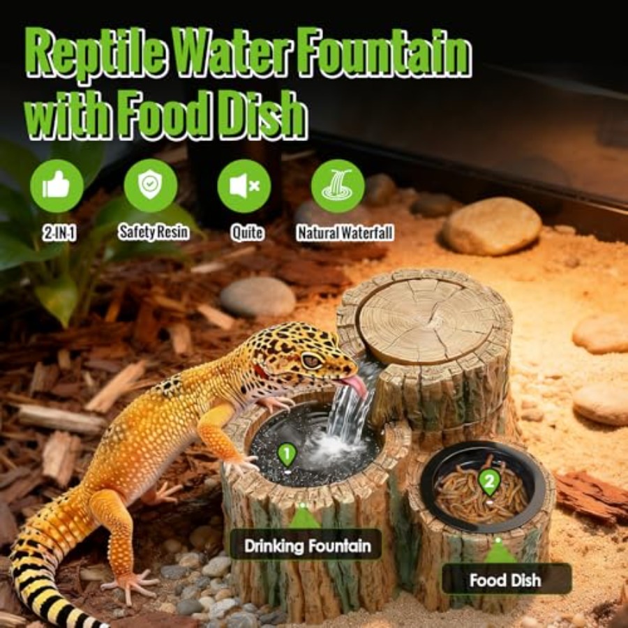 Фонтан-поилка для рептилий 2-в – обзор и цена Water Dish Reptile